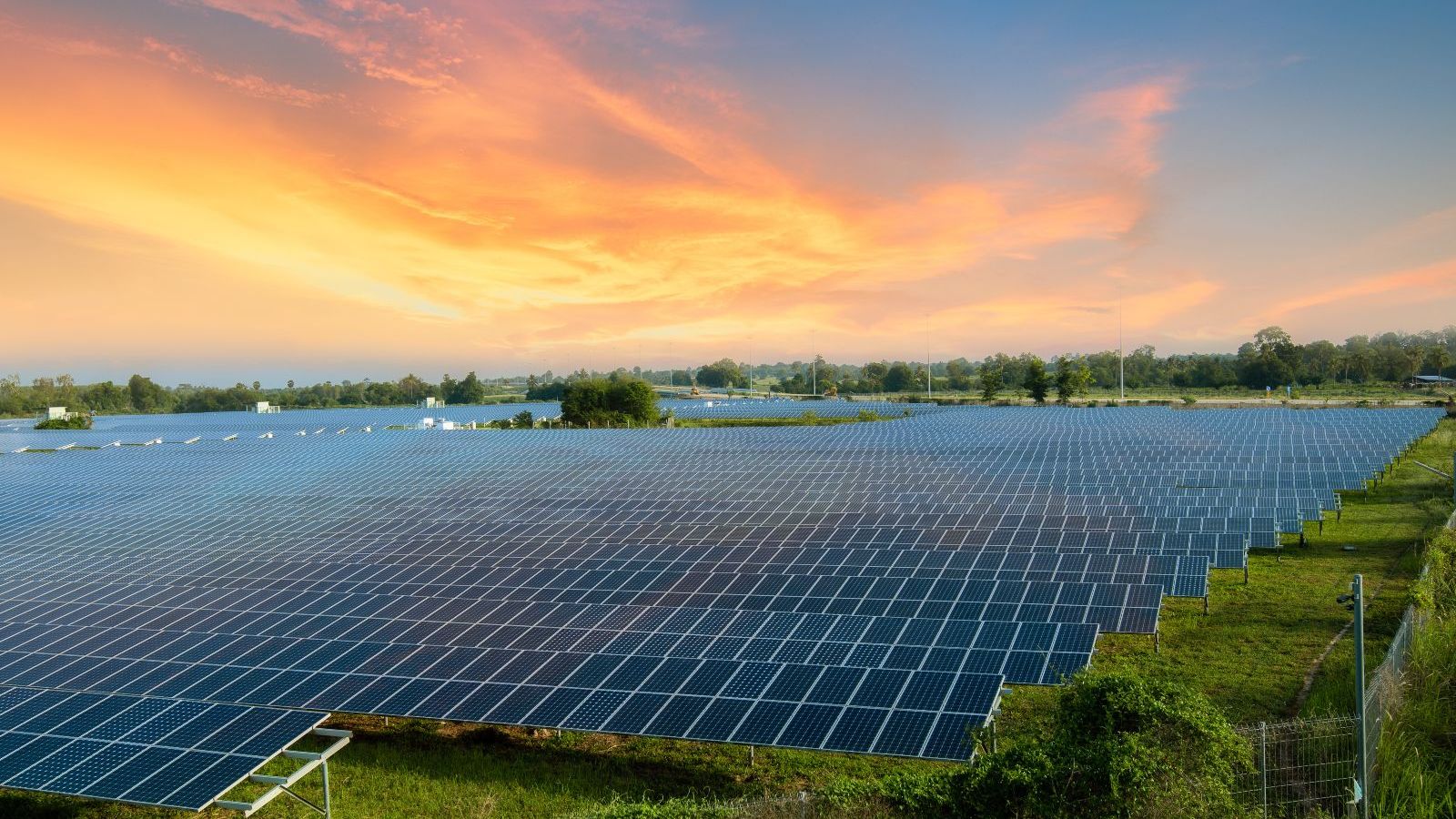 Das Foto zeigt ein Solarkraftwerk auf einer Wiese bei Sonnenuntergang.