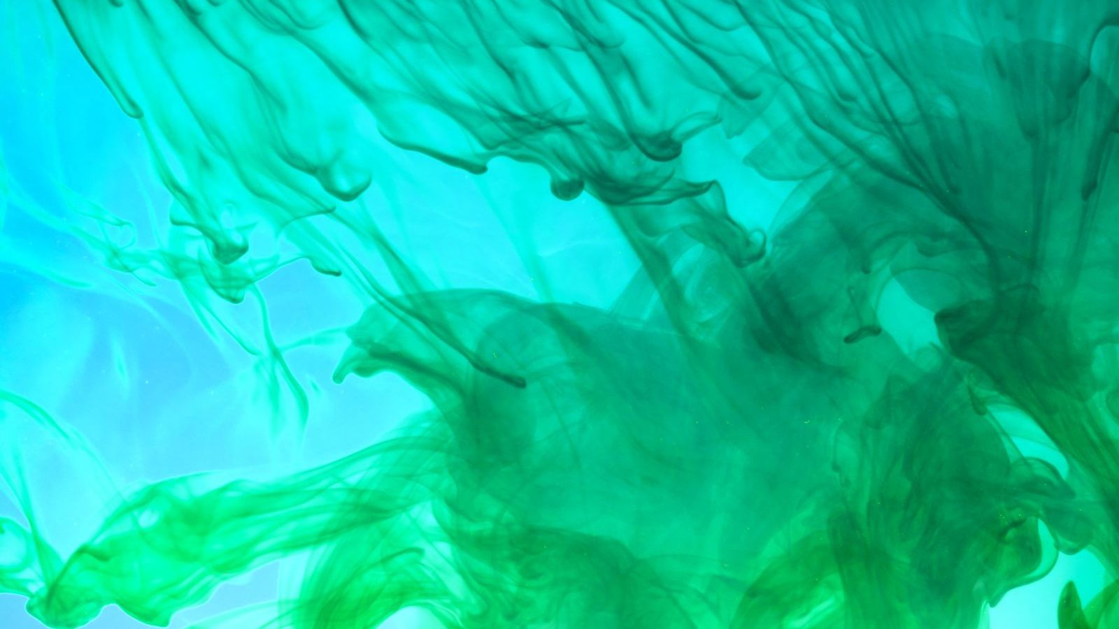 Das Bild zeigt grüne Farbe in Wasser aufsteigen - vor einem blauen Hintergrund. 