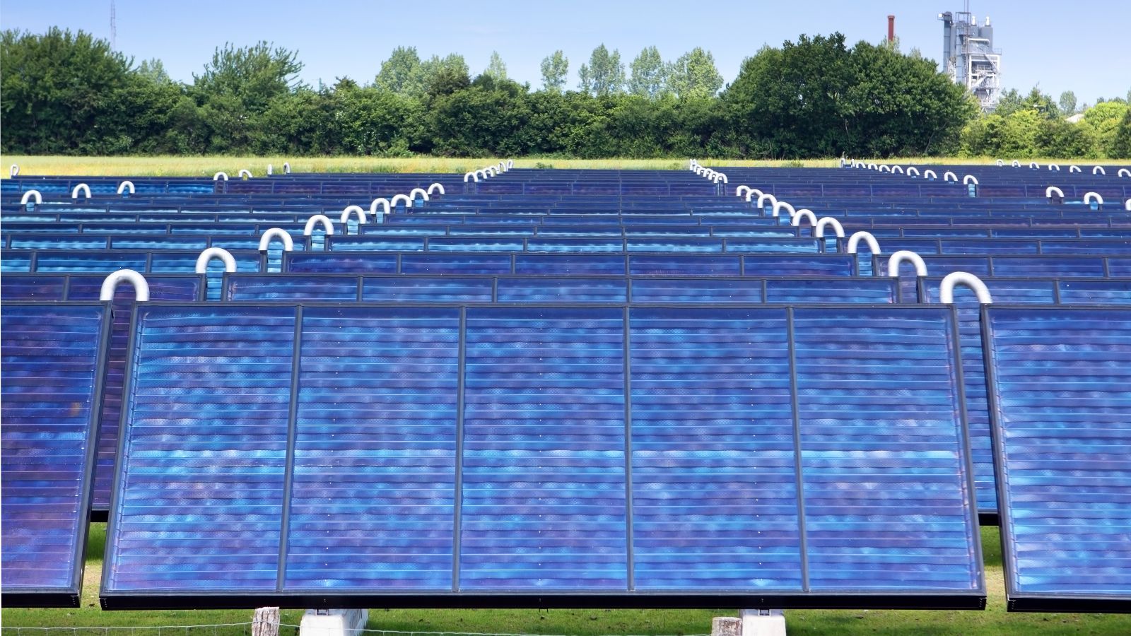 Das Foto zeigt solarthermische Anlagen auf einer Wiese.