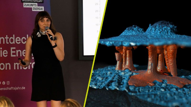 Christine Heume beim Science Slam + XCT-Aufnahme der Filamente