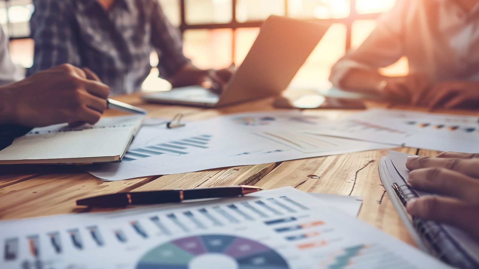 Das Bild zeigt ein Meeting mit Laptop