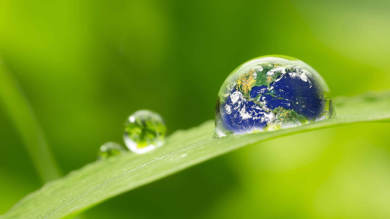 The image is a photomontage: the globe can be seen on a drop on a green leaf. 