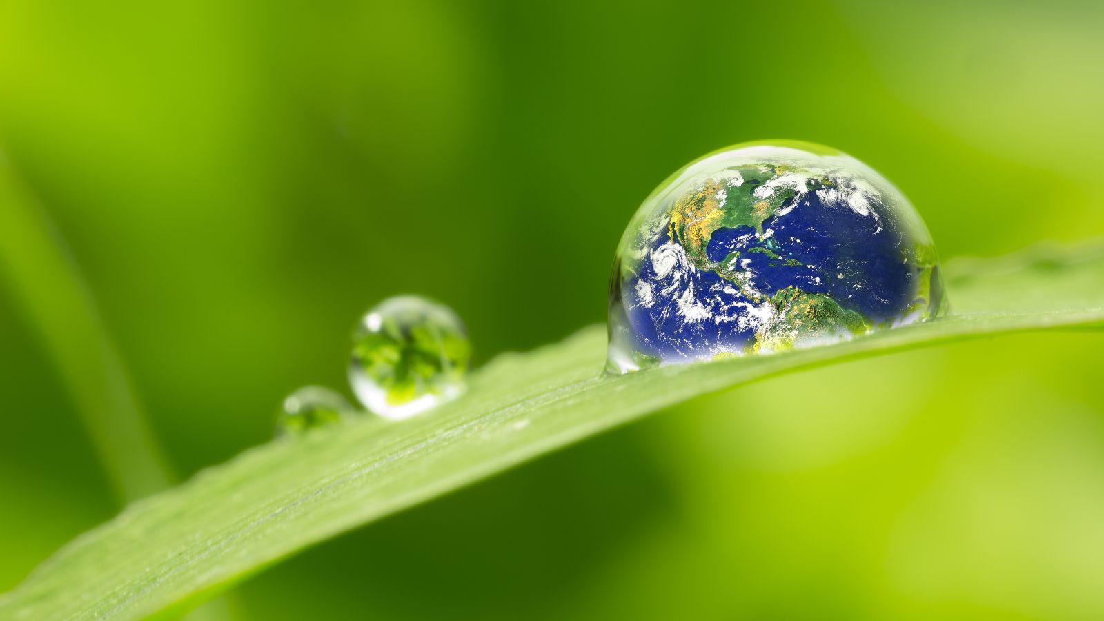 The picture is a photomontage. You can see a green leaf with a drop on it. A globe can be seen in the drop. 